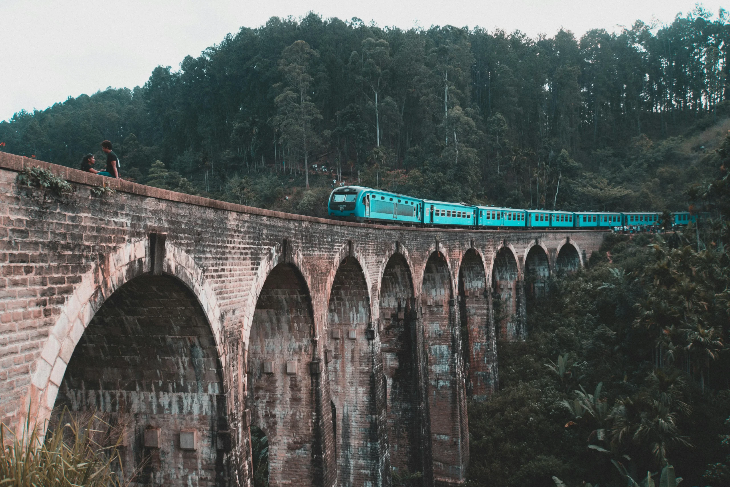 pexels-domenicobertazzo-4769075