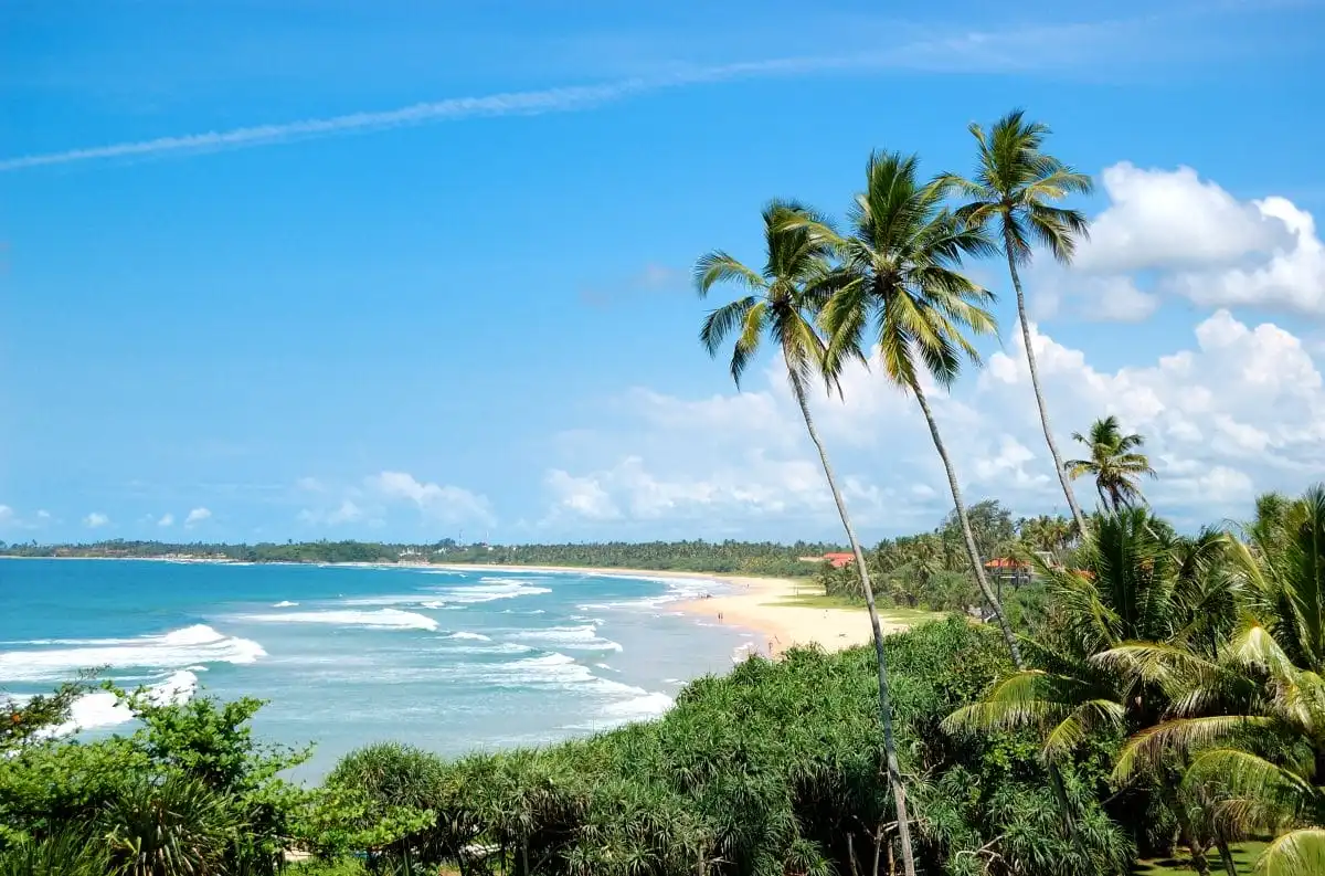bentota-surf